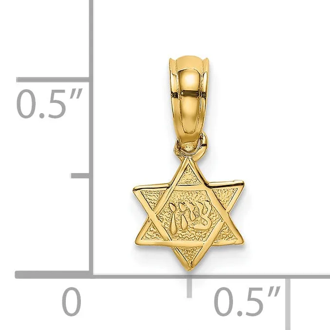 14K Yellow Gold Polish Texture Finish Mini Small Star Of David Pendant