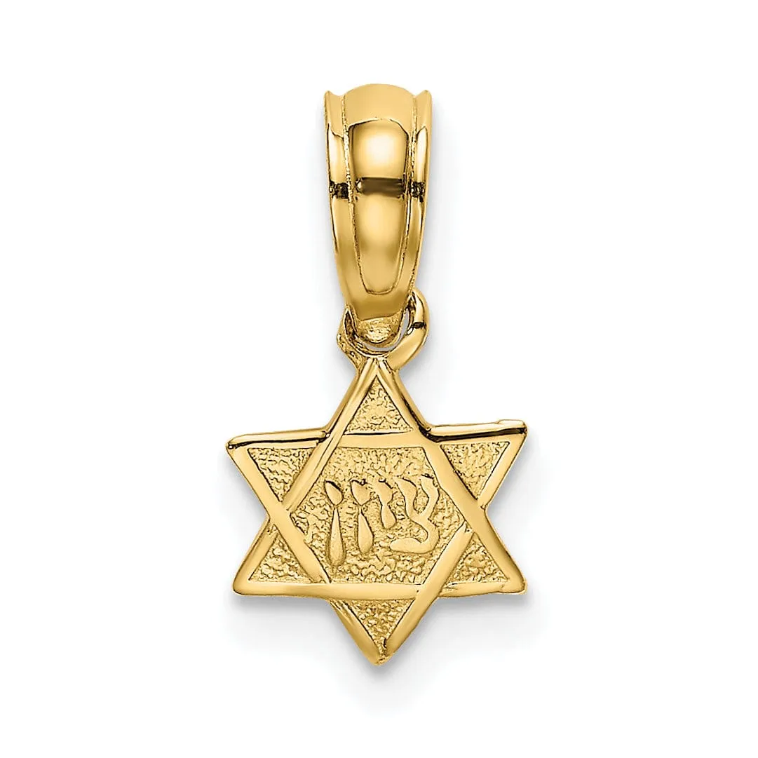 14K Yellow Gold Polish Texture Finish Mini Small Star Of David Pendant