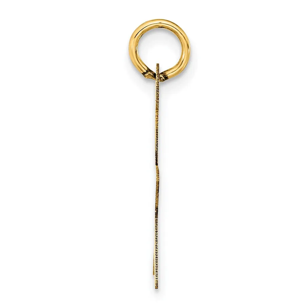 14k Yellow Gold Star Disc Charm