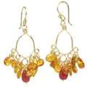 Calypso 35 - Gold