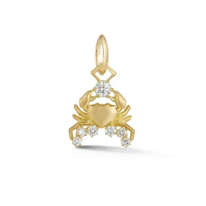 Cancer Charm