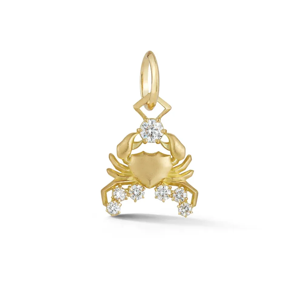 Cancer Charm