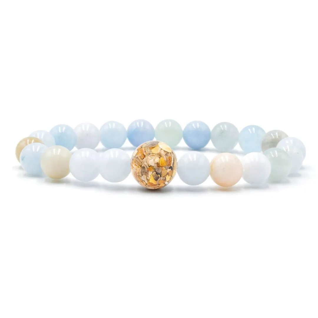 Florida Shells   Aquamarine