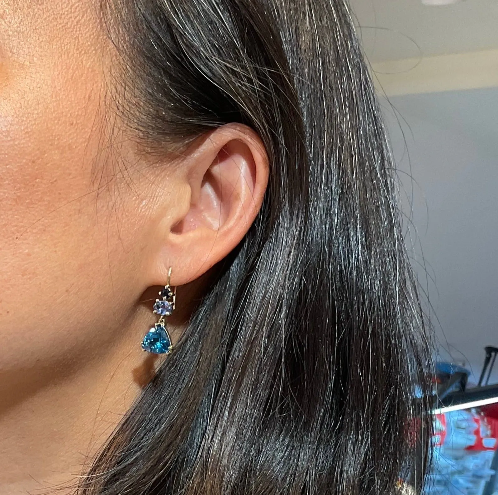 Frozen in Blue Earrings