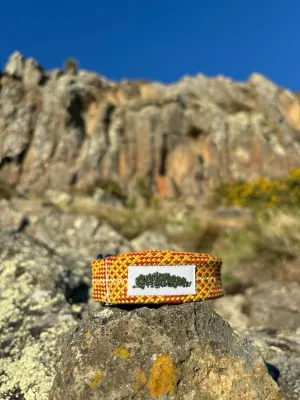HoneyComb belt