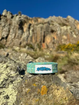Icebound belt
