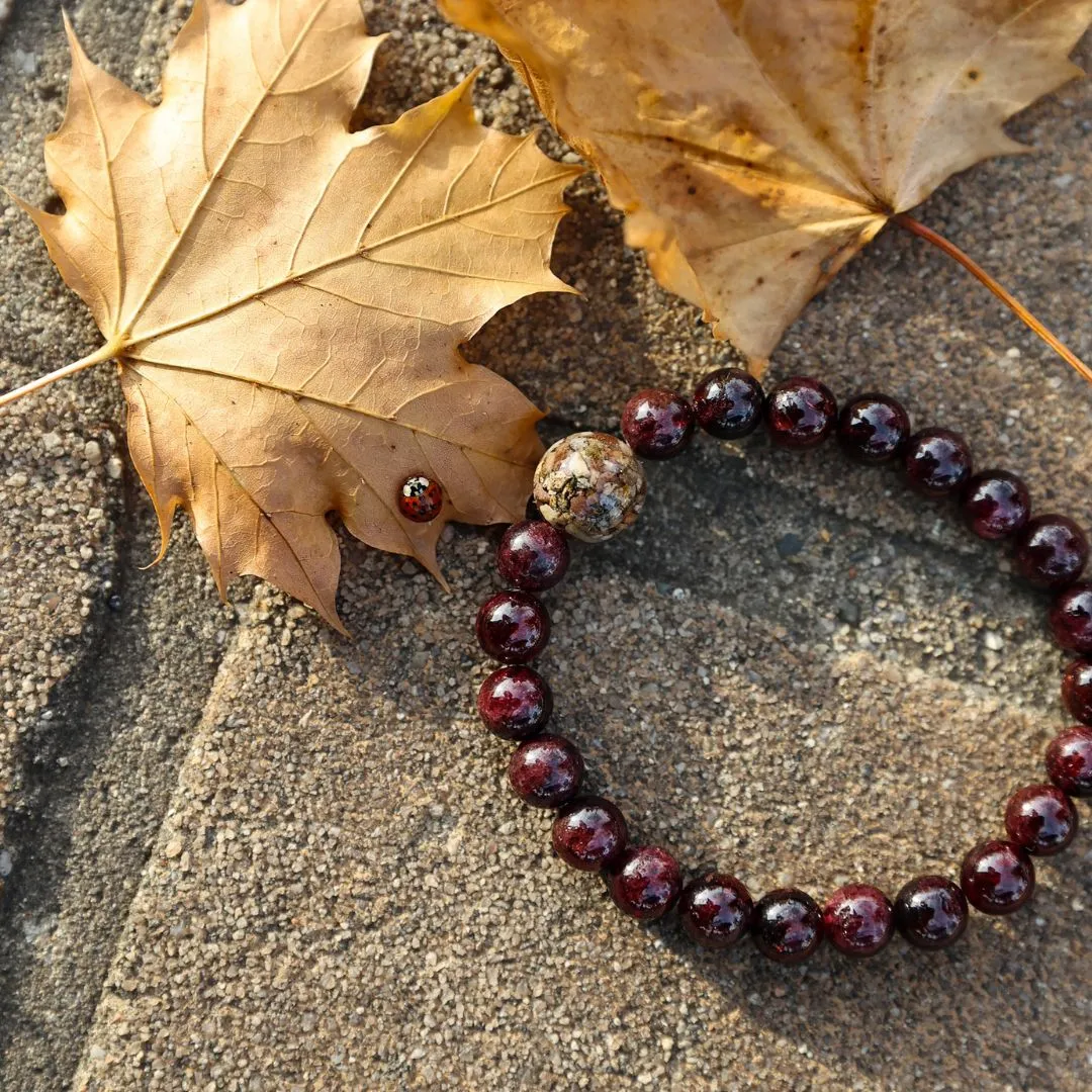 Nebraska Stones   Garnet