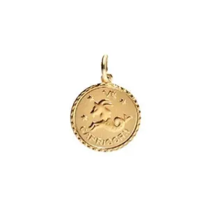Zodiac Charm